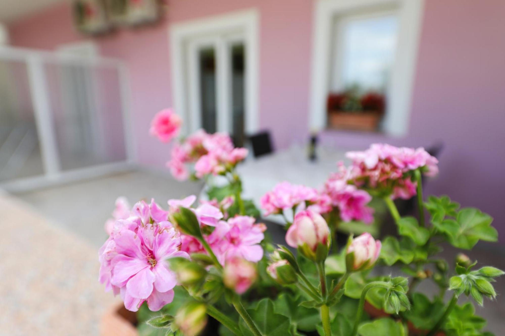 Villa Rajna Starigrad Paklenica Habitación foto